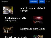 Butterfly Conservation | American Museum of Natural History