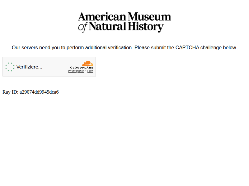 The Museum Gala: 2025 | American Museum of Natural History