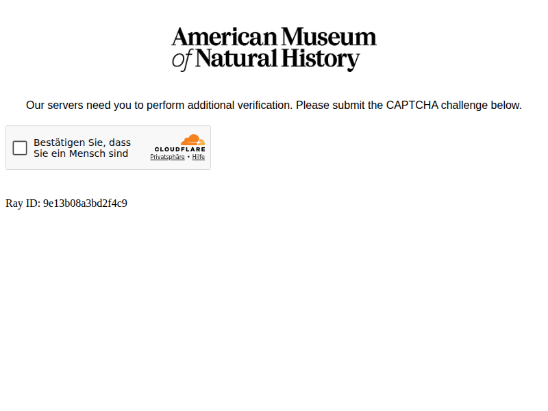 Lonely at the Top? | AMNH