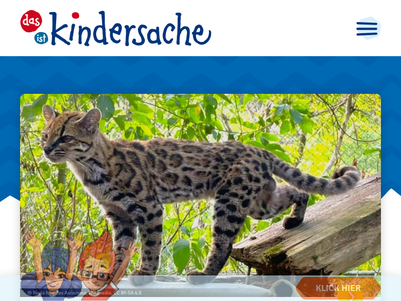 Große Landwirtschaftsdemo in Berlin | kindersache