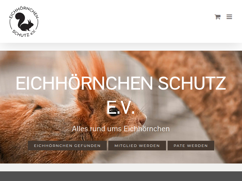 Eichhörnchen gefunden? Wir können helfen! Eichhörnchen Schutz e.V.