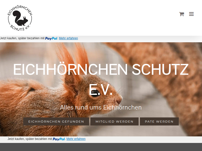 Eichhörnchen gefunden? Wir können helfen! Eichhörnchen Schutz e.V.