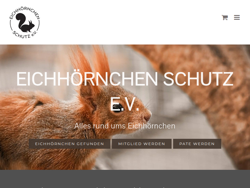 Eichhörnchen gefunden? Wir können helfen! Eichhörnchen Schutz e.V.