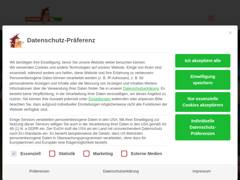 Pflasterpass® – Kinder-Hausapotheke für Eltern