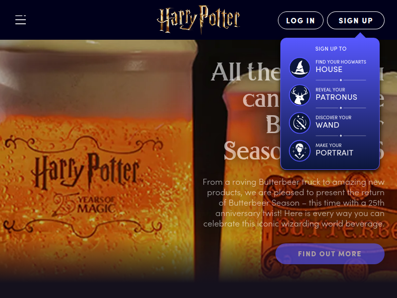 Harry Potter | Things we realised about Harry Potter when we became older and wiser | Wizarding World