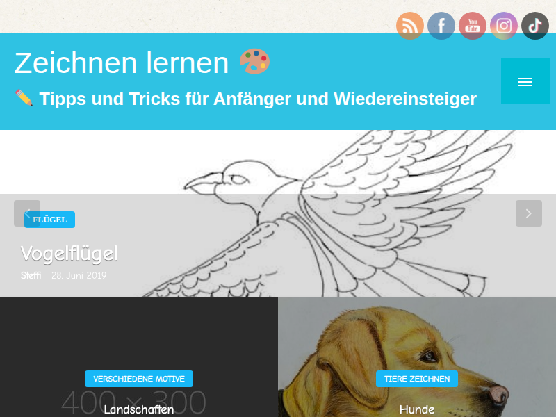 Hund zeichnen lernen - so zeichnest du unsere pelzigen Freunde