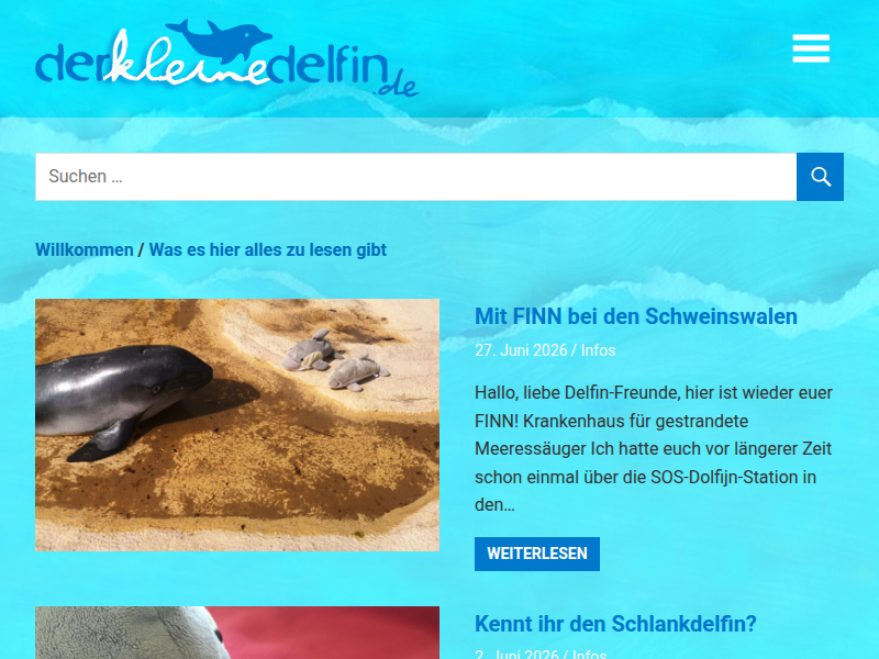FINN, LEO und der schwimmende Sandfisch – Der kleine Delfin