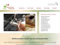 Ein Stein fällt ins Wasser | Geräuschesammler