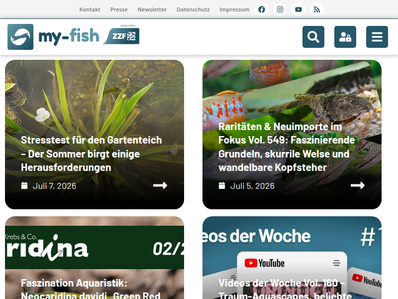 Checkliste für den Urlaub: So bereitet man das Aquarium vor