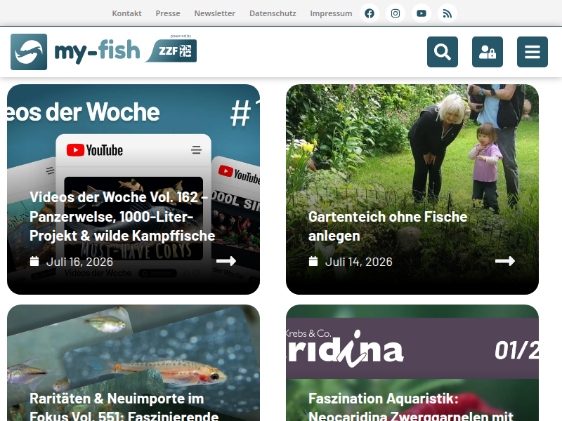 Anleitung: Schritt für Schritt zum traumhaften Pflanzenaquarium