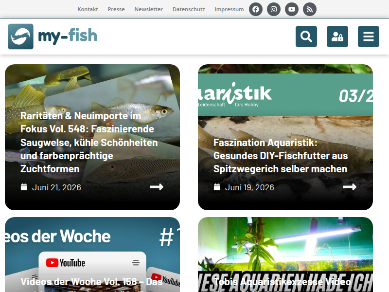 Aufzuchtprojekt Diskusfische