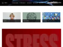 Das Gehirn – der Kosmos im Kopf