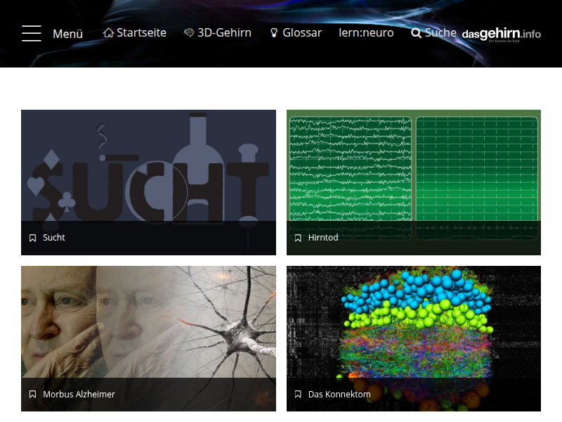 Hirnforschung und Händigkeit: Vertauschte Hemisphären
