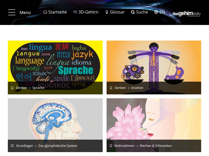 Anatomie: Mittelhirn, Motorik und Substantia nigra im Gehirn