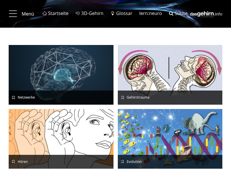 Wie steuert unser Gehirn Großzügigkeit? | dasGehirn.info - der Kosmos im Kopf