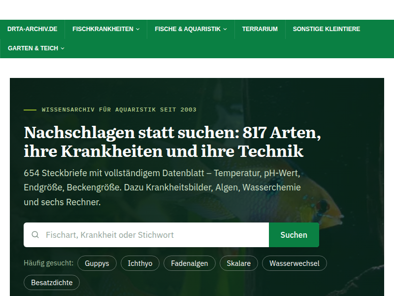 ▷ Lochkrankheit bei Fischen | Details, Diagnose und Behandlung