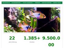 ▷ Algensalmler - La-Plata-Algensalmler | Infos sowie Haltung und Zucht