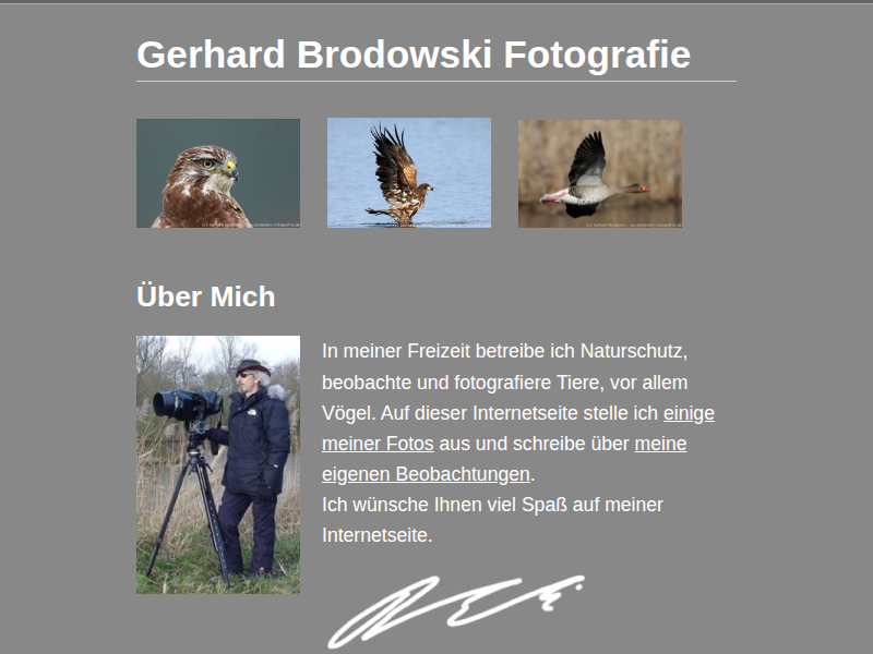 Stelzenläufer - Steckbrief, Lebensraum, Brutzeit, Vogel-Bilder, Referat