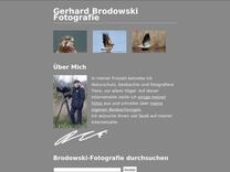 Fasan Steckbrief für Kinder in der Schule - Alter, Größe, Gewicht, Feinde