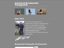 Trauerente -  Steckbrief, Vorkommen, Brutzeit, Größe, Lebensraum, Bilder