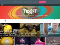 The TKSST Gift Guide • Smart STEAM Gift Ideas for all ages, curated | The Kid Should See This