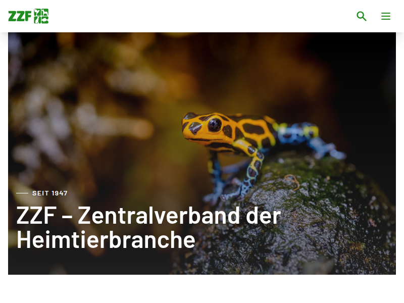 Gemüse, Obst oder Beeren: Ziervögel brauchen Frischfutter | ZZF