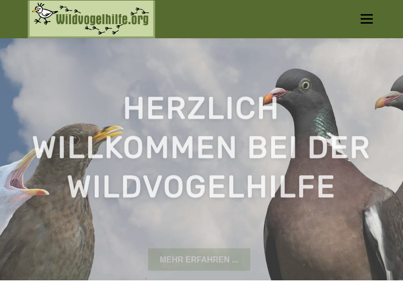 ... für Gemischtfresser - Wildvogelhilfe.org