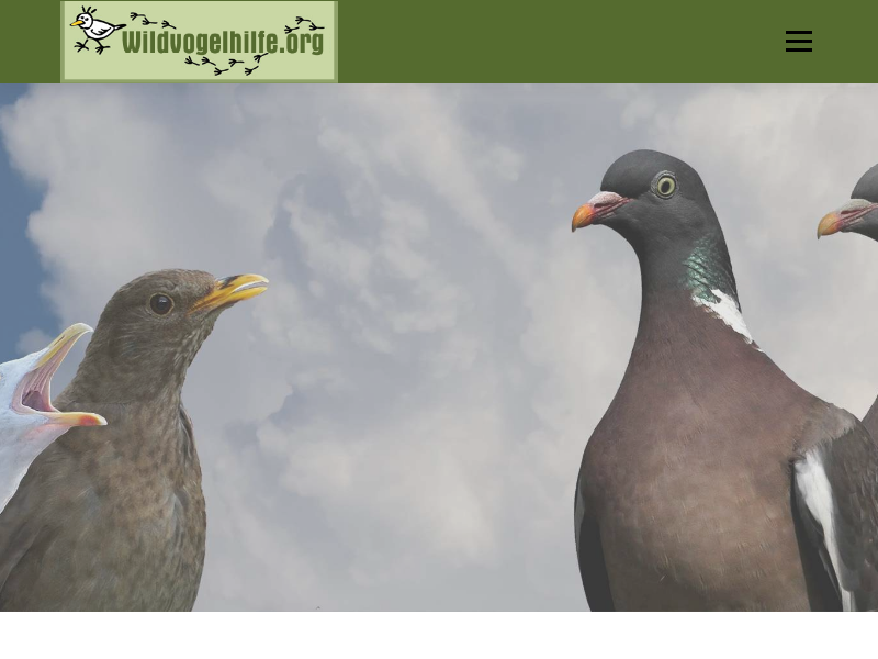 ... für Gemischtfresser - Wildvogelhilfe.org