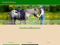 Ponyhof Zintzen in Würselen Datenschutzerklärung
