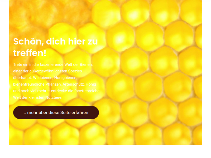 Bibbernde Bienen? Bienen im Winter - Honig und Bienen