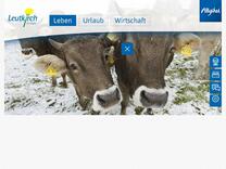 Bienenkästen/Colour Boxes | Stadt Leutkirch im Allgäu