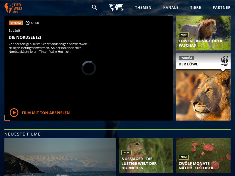 TIERWELT Live | Hirsche