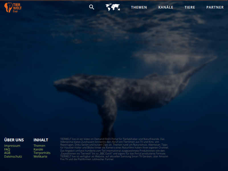 TIERWELT Live | Fieber messen bei Katzen