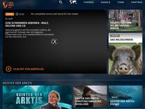 TIERWELT Live | Auf den Hund gekommen