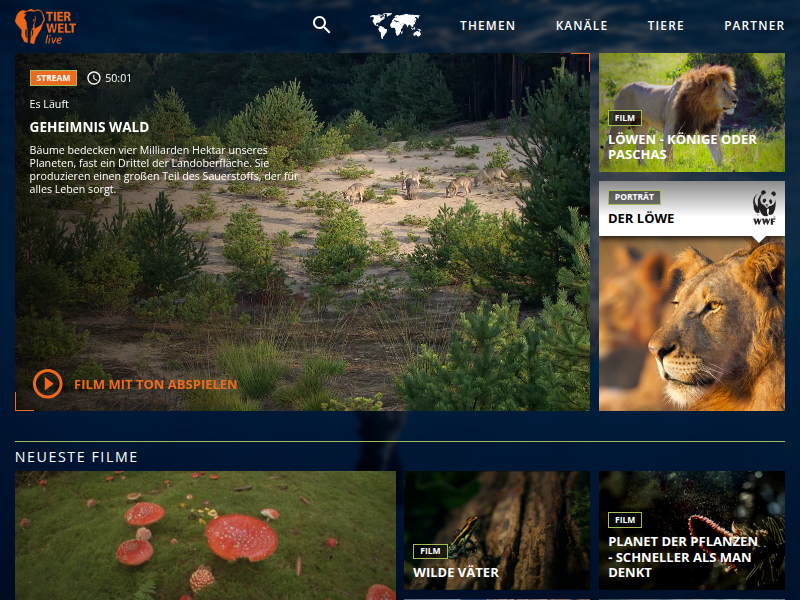 TIERWELT Live | Helgoland