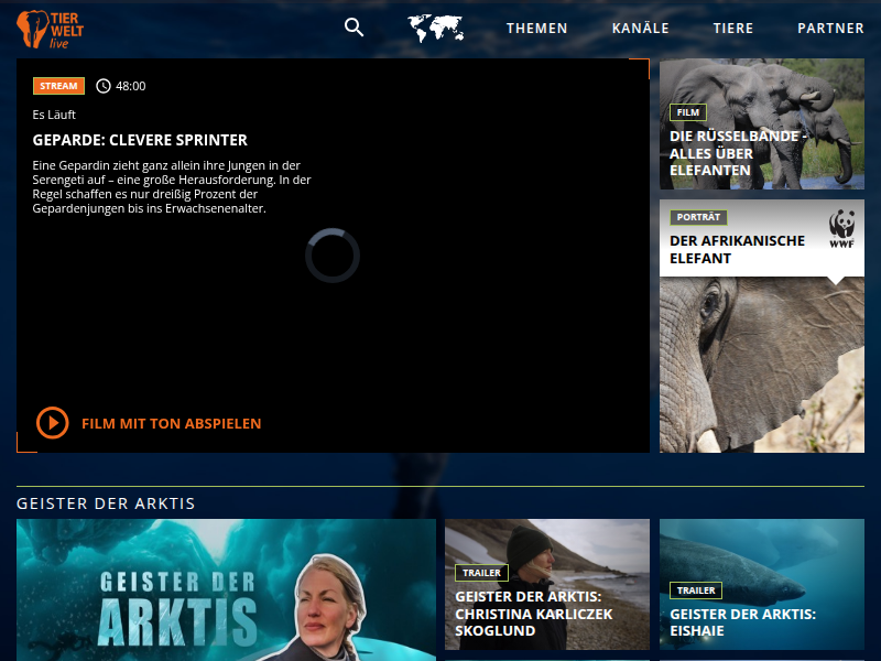 TIERWELT Live | Geschichten aus den Wäldern