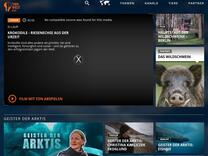 TIERWELT Live | Fjorde - Eine magische Welt