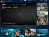 TIERWELT Live | Mückenplage in Skandinavien