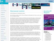 Coris julis Meerjunker, Mittelmeer-Regenbogen-Lippfisch