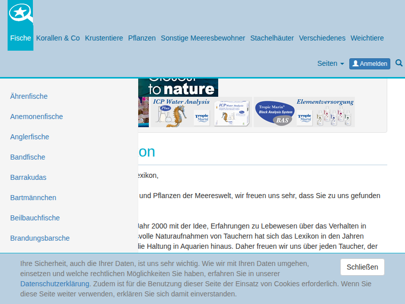 steibk86 Benutzerprofil