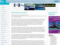 Leiaster sp. 01 Seestern