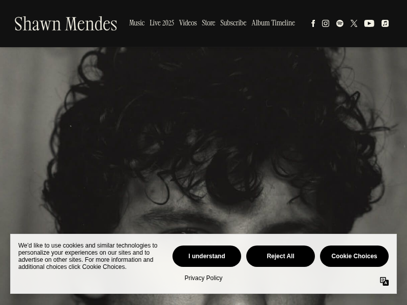 About - Shawn Mendes