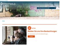 Stadtwildtiere Deutschland