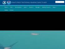 Volunteer Opportunities | Gray's Reef National Marine Sanctuary