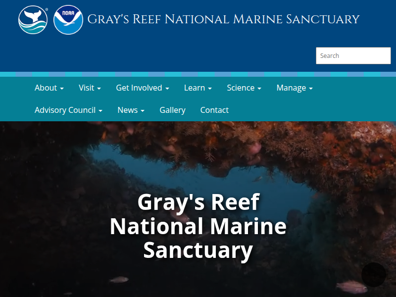 Ocean Discovery Center | Gray's Reef National Marine Sanctuary