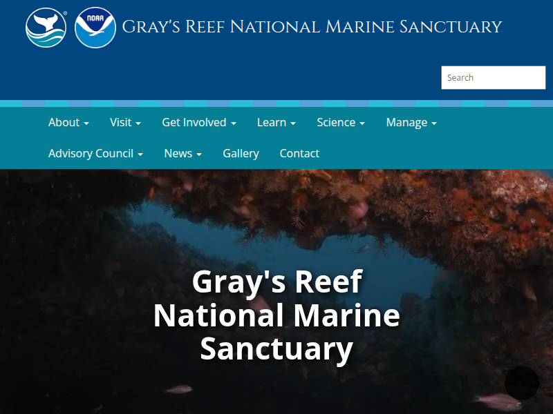 Ocean Discovery Center | Gray's Reef National Marine Sanctuary