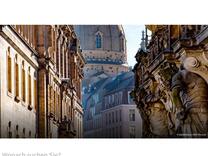Forum Stadtgrün | Landeshauptstadt Dresden