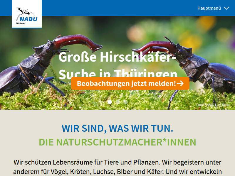 Der Goldschakal - NABU Thüringen