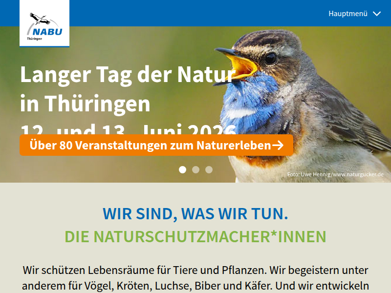 Petition "Mehr Waldwildnis" findet großen Zuspruch - NABU Thüringen
