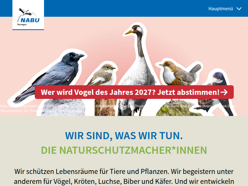 Petition "Mehr Waldwildnis" findet großen Zuspruch - NABU Thüringen